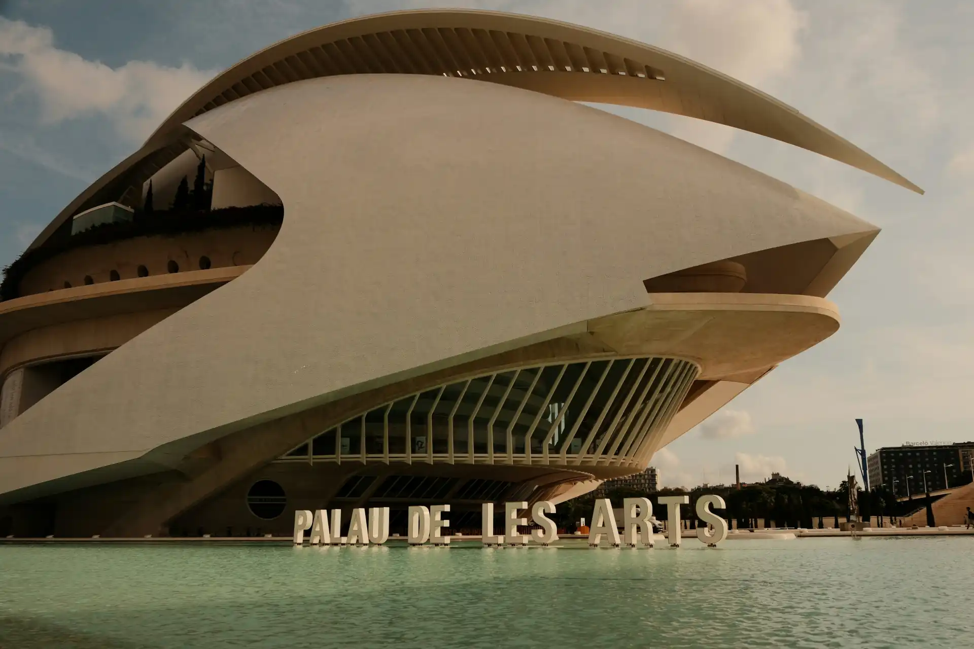 Diseño web profesional en Valencia y la Comunitat Valenciana